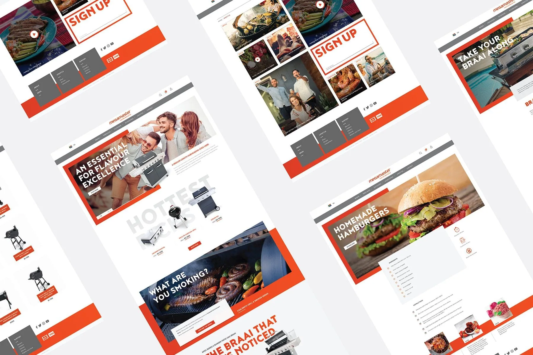 Megamaster braii brand website design