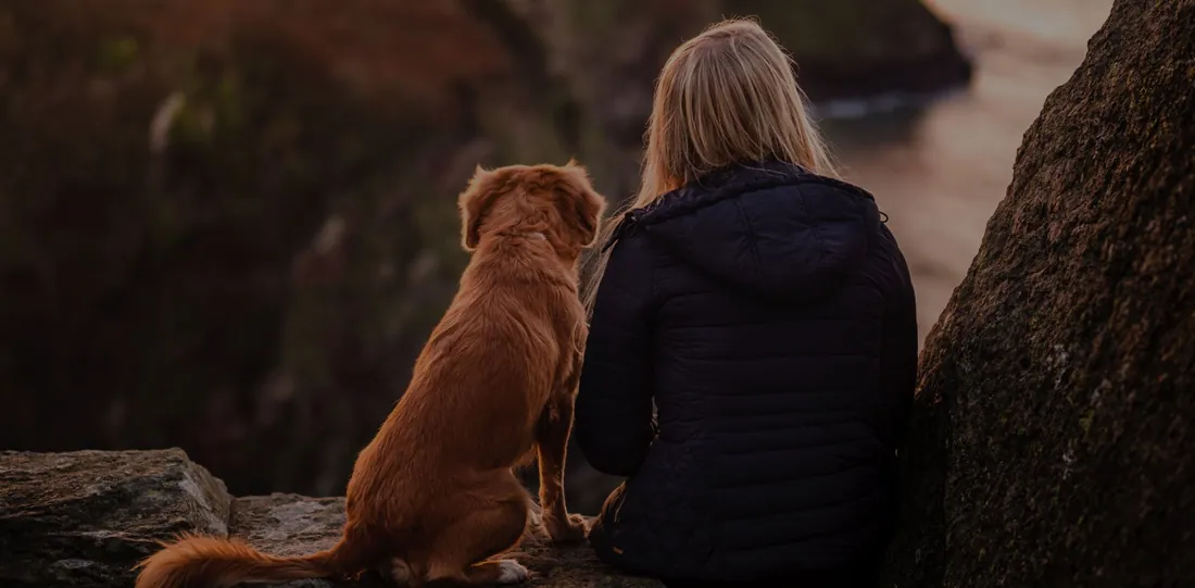 NaturVet pet supplement brand rebrand by Magnetic