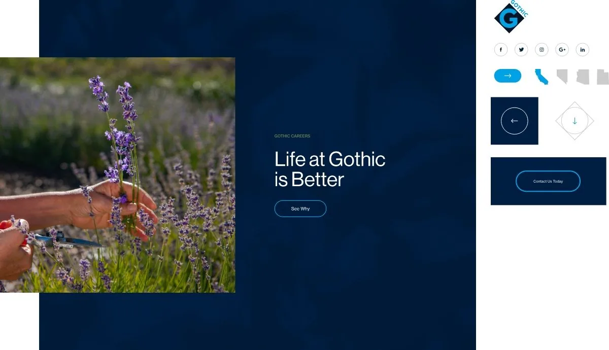 Gothic Landscape landscape brand design