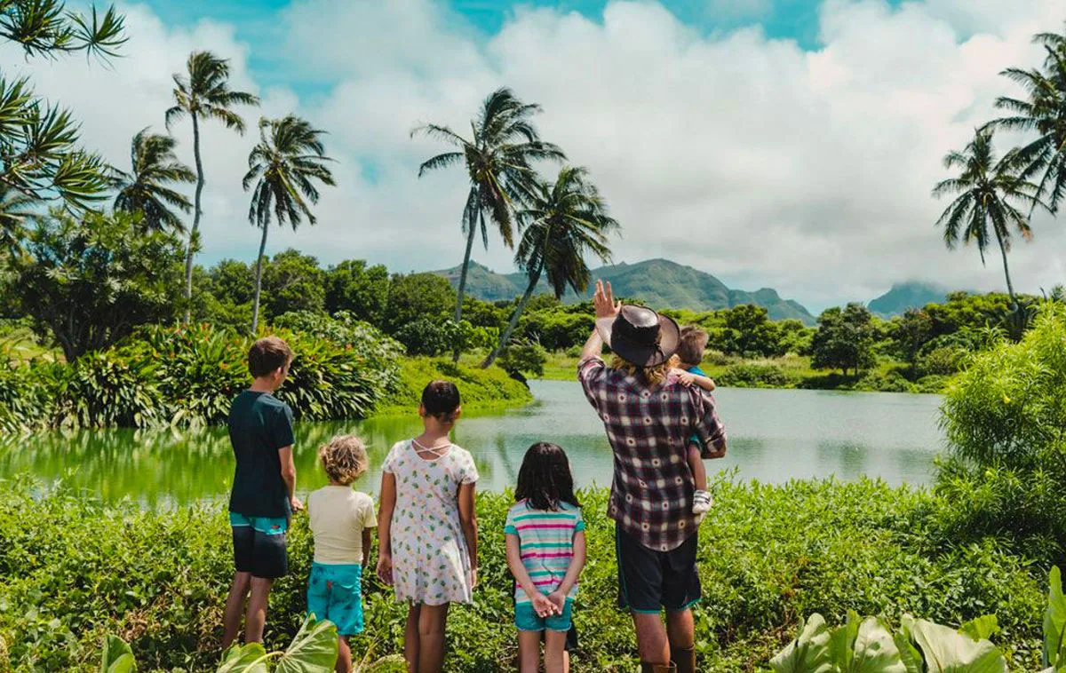 Timbers Kauai resort visual content