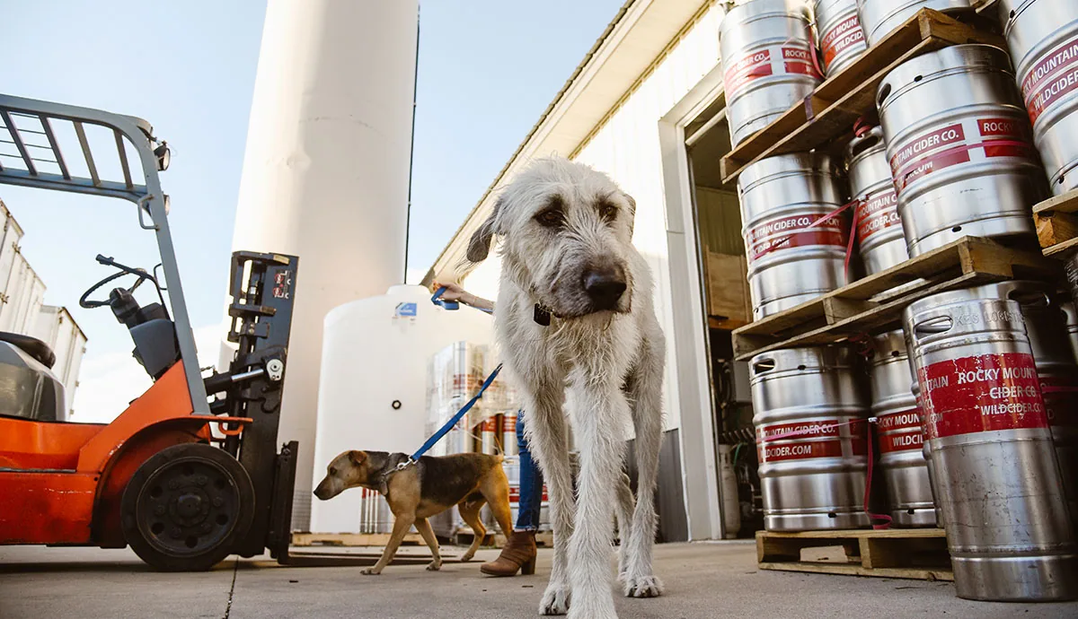 Wild Cider brewery location photoshoot