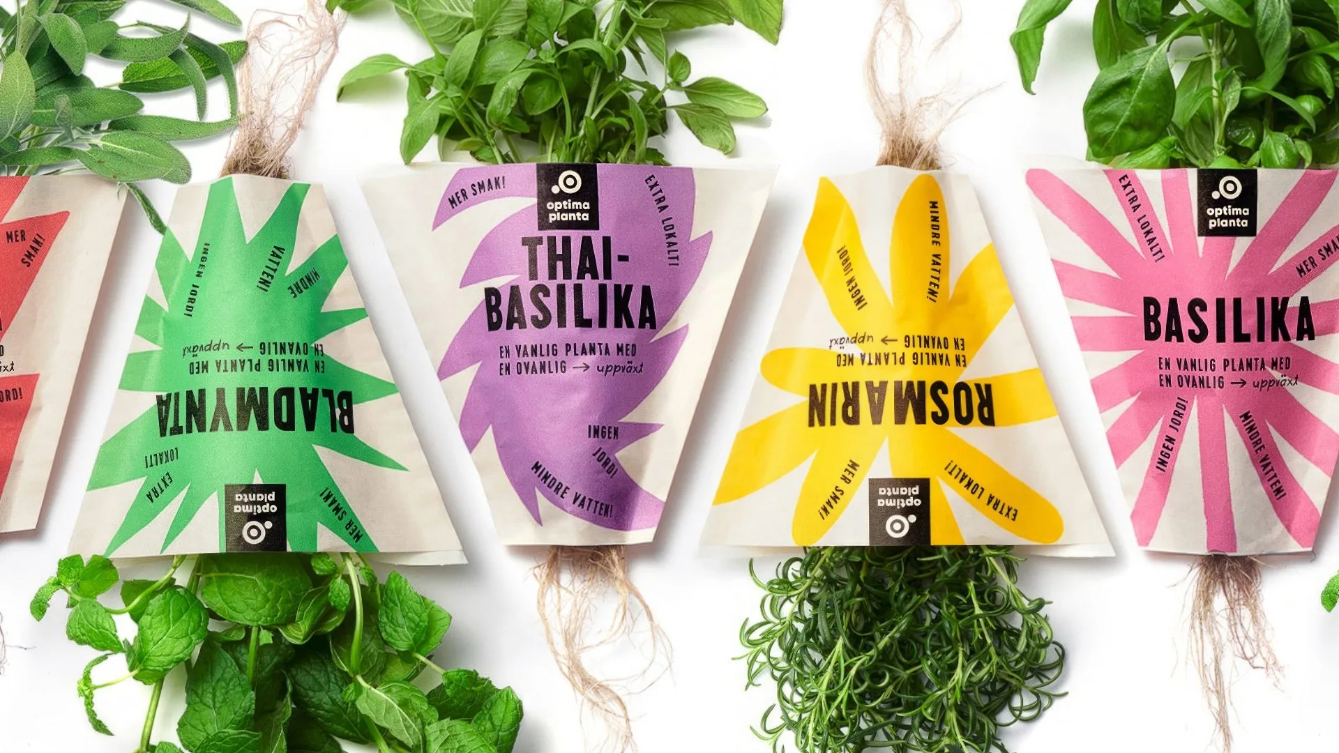 Sustainable Packaging design