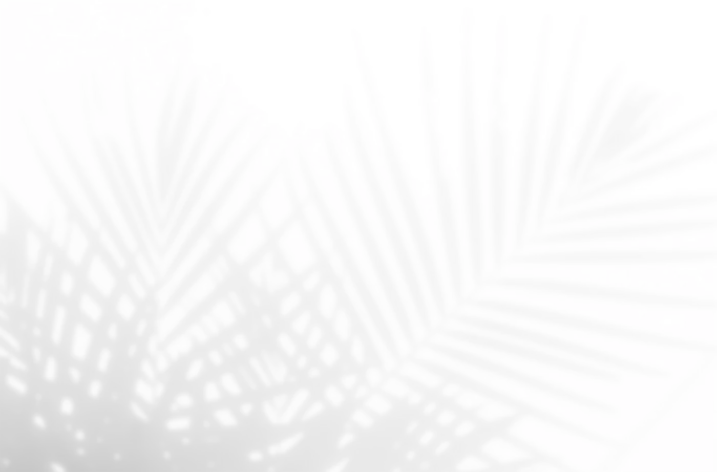 Palm leaves background